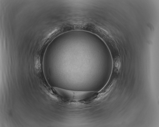 X0000113961252200909251352