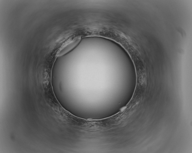 X0000113961253200909251352