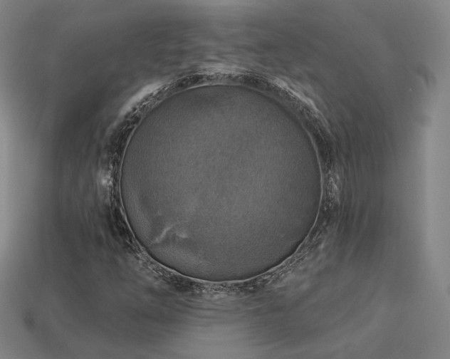 X0000113961254200909251352