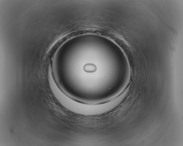 X0000113961256200909251352