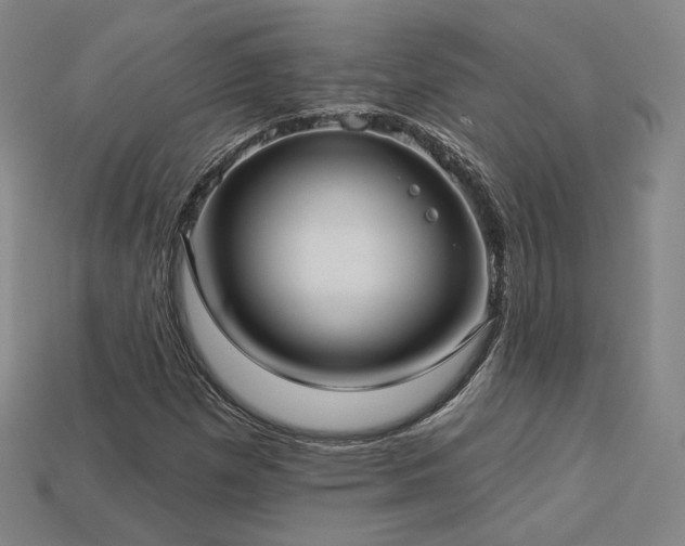 X0000113961257200909251352