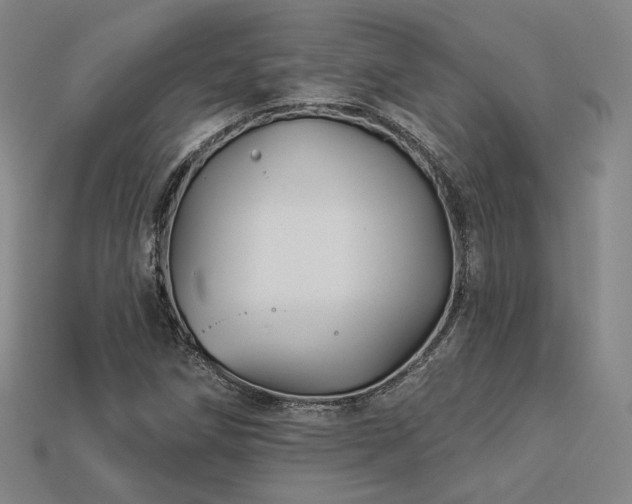 X0000113961258200909251352