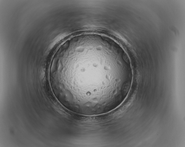 X0000113961259200909251352