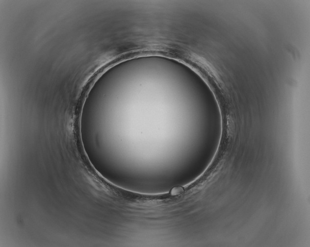 X0000113961260200909251352