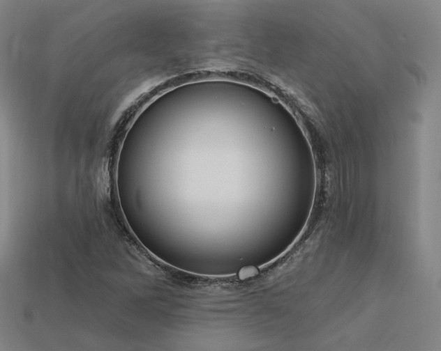 X0000113961262200909251352