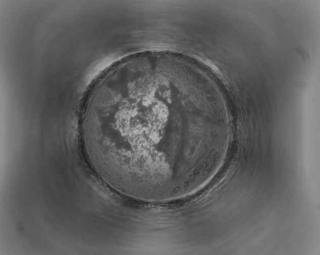 X0000113961263200909251352