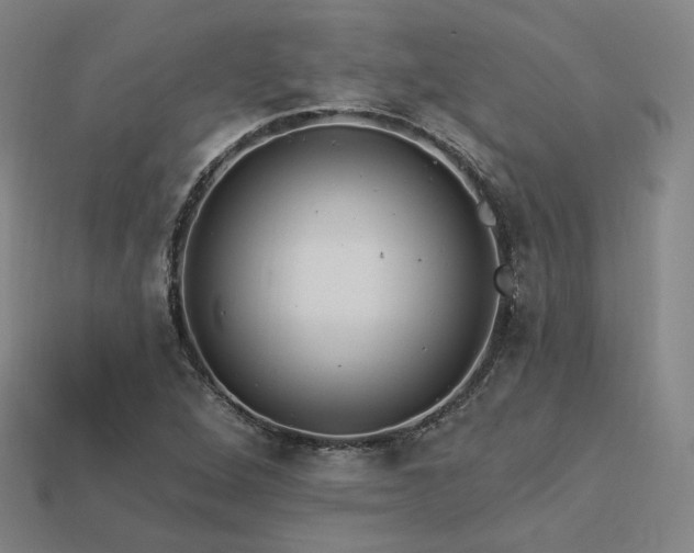 X0000113961264200909251352