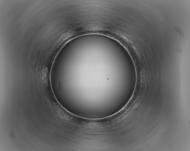X0000113961265200909251352