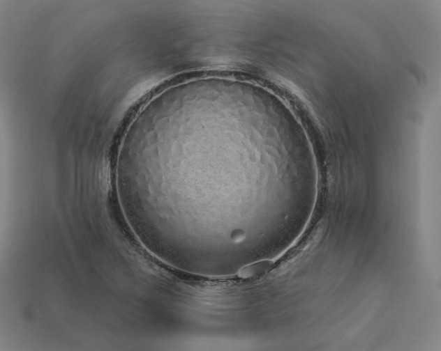 X0000113961267200909251352