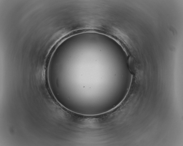 X0000113961268200909251352