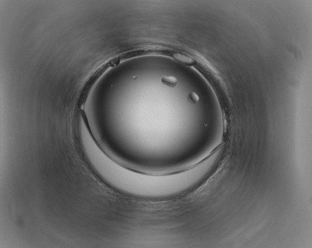 X0000113961269200909251352