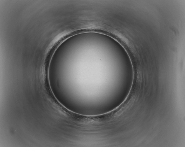 X0000113961270200909251352