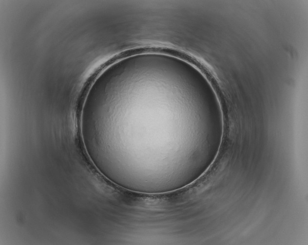 X0000113961271200909251352