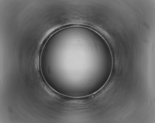 X0000113961272200909251352