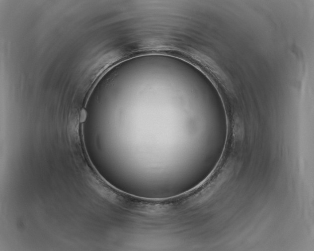X0000113961273200909251352