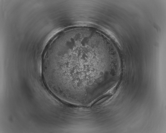 X0000113961275200909251352