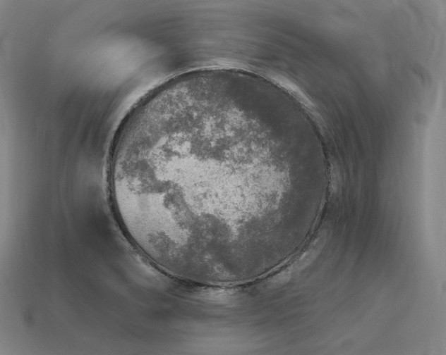 X0000113961278200909251352
