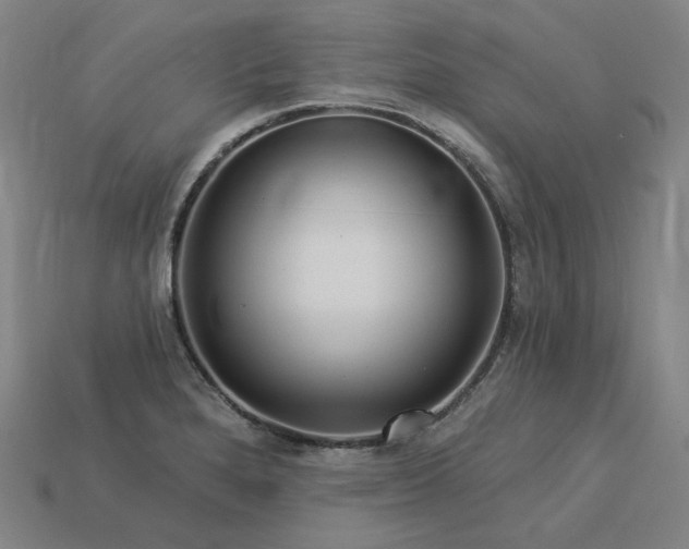 X0000113961280200909251352