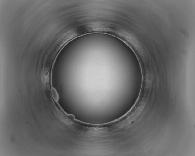 X0000113961281200909251352