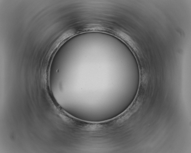 X0000113961282200909251352