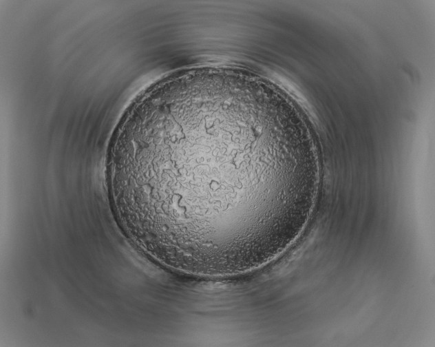 X0000113961283200909251352