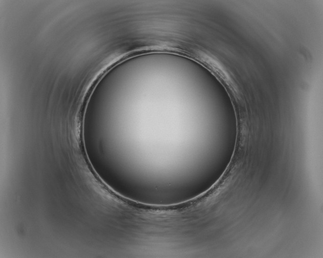 X0000113961284200909251352