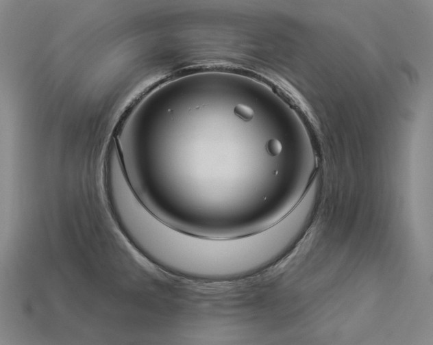 X0000113961285200909251352