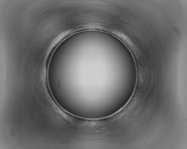 X0000113961286200909251352