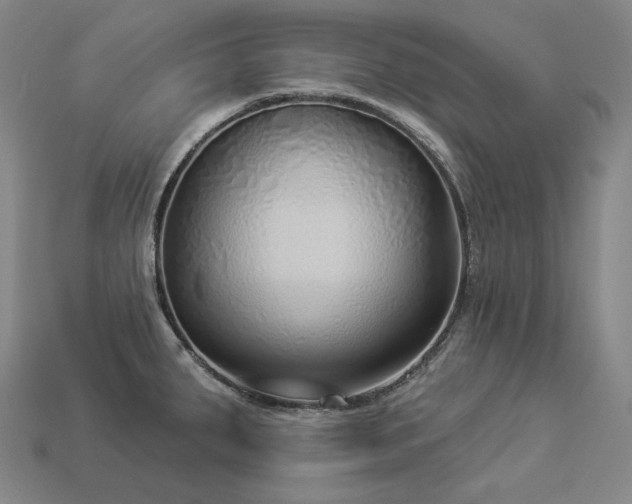 X0000113961287200909251352