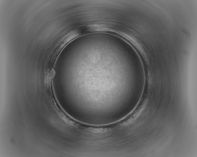 X0000113961289200909251352