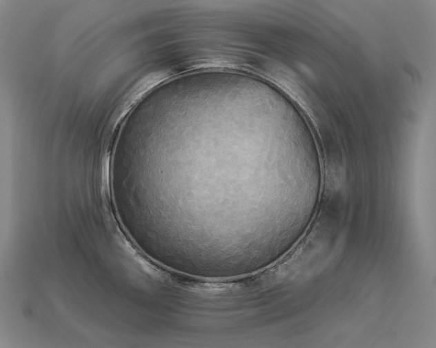 X0000113961290200909251352