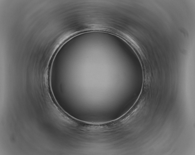 X0000113961291200909251352