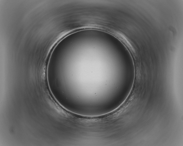 X0000113961292200909251352
