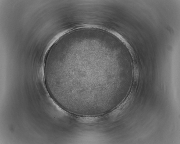 X0000113961294200909251352
