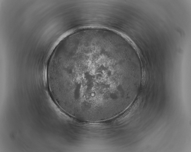 X0000113961295200909251352