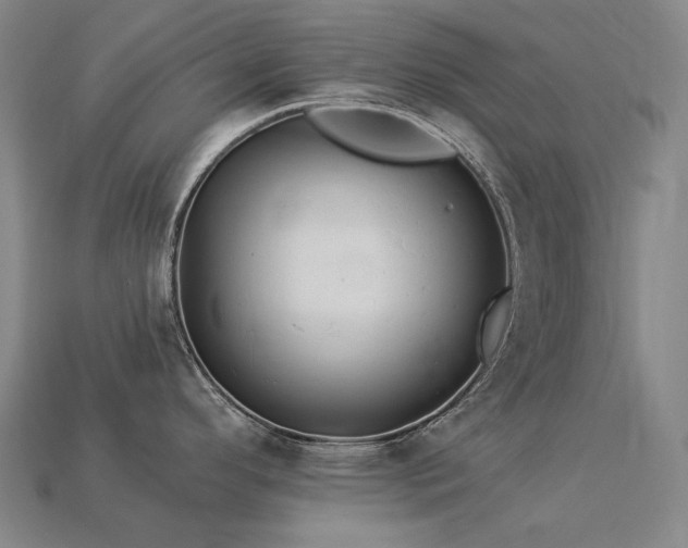 X0000113961296200909251352