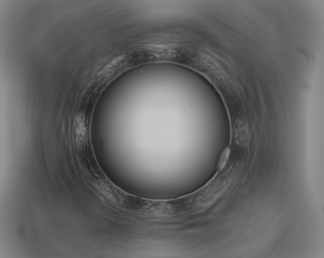 X0000113961298200909251351