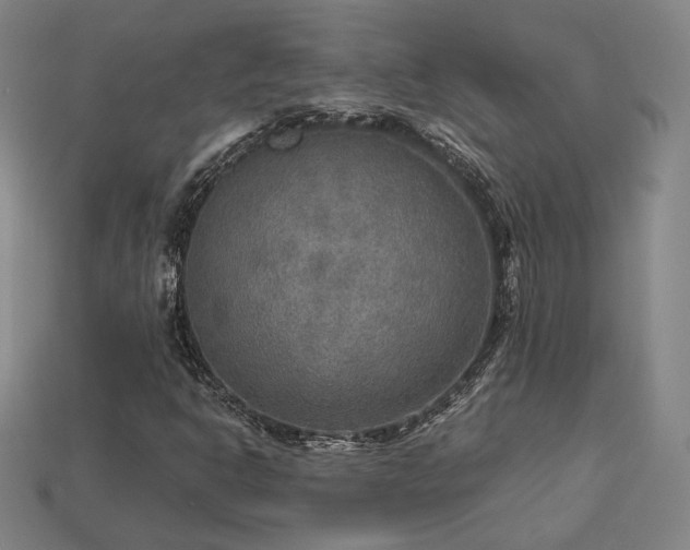 X0000113961302200909251351