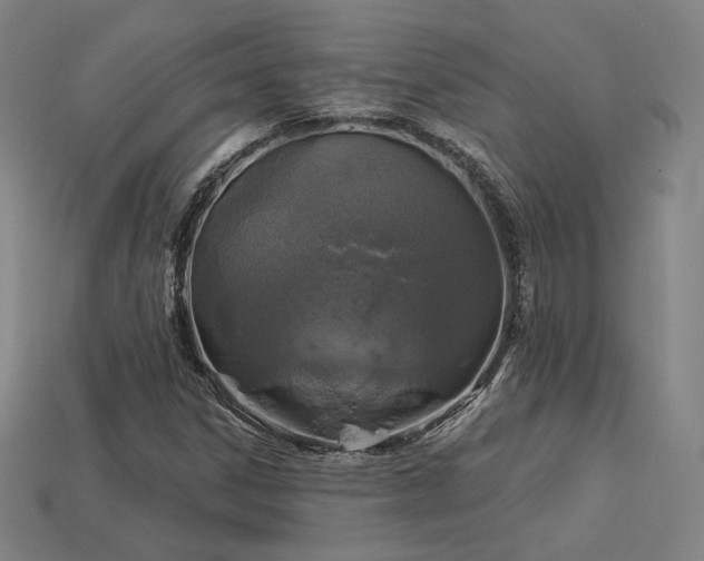 X0000113961306200909251351