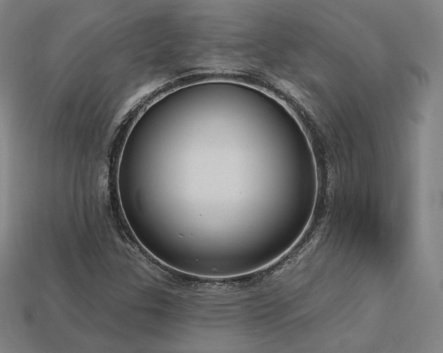 X0000113961307200909251351