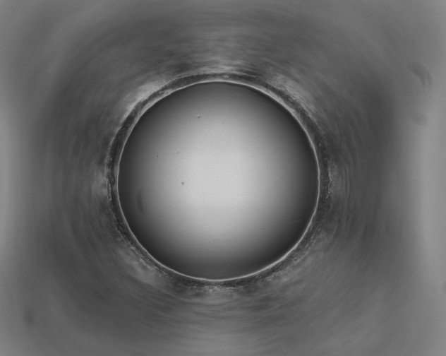 X0000113961308200909251351