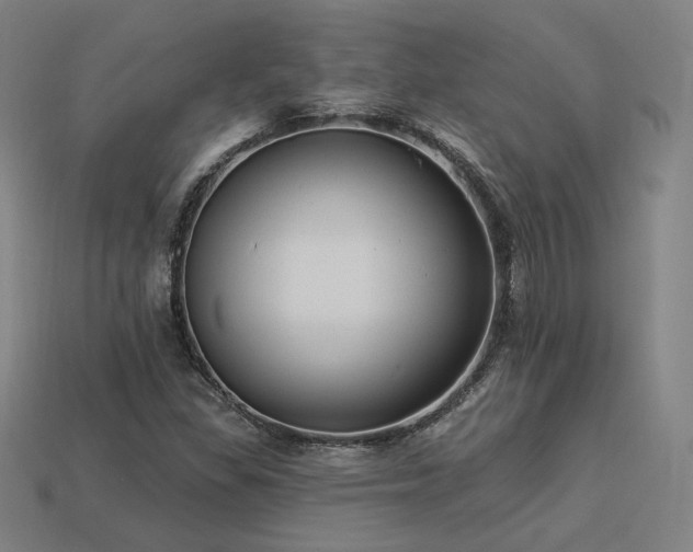 X0000113961309200909251351