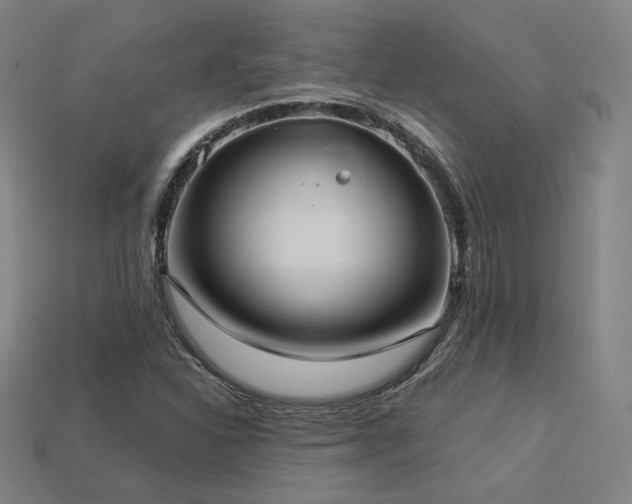 X0000113961310200909251351