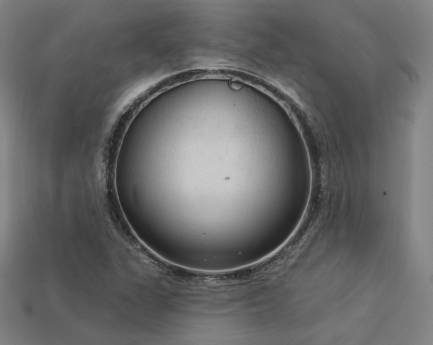 X0000113961311200909251351
