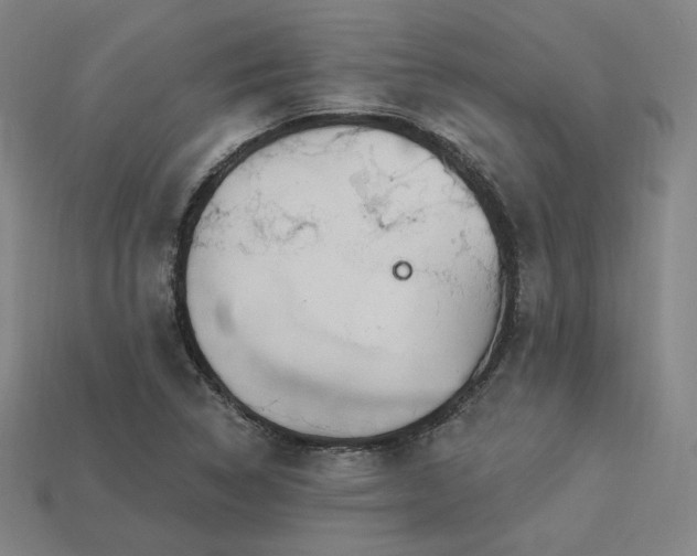 X0000113961314200909251351