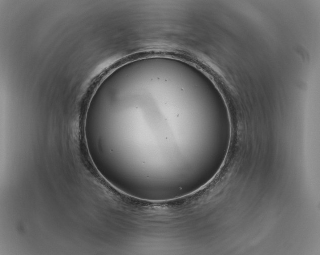 X0000113961315200909251351
