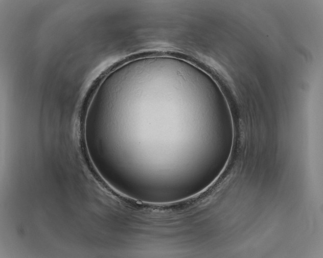 X0000113961318200909251351