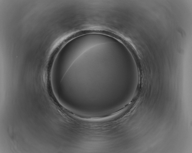 X0000113961319200909251351