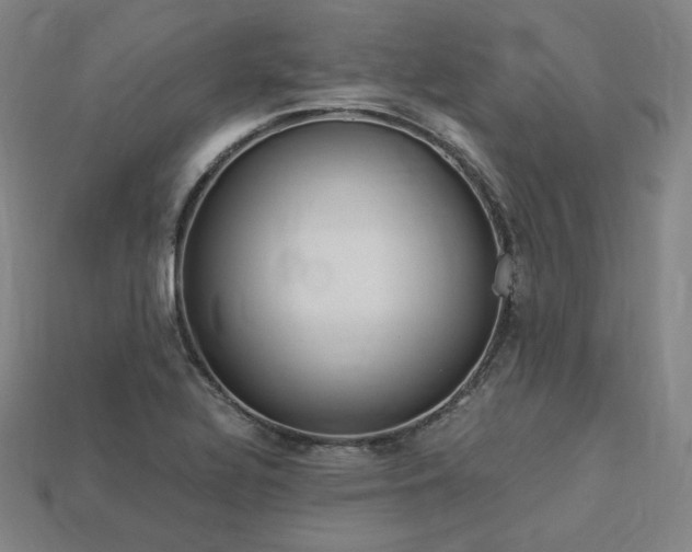 X0000113961320200909251352