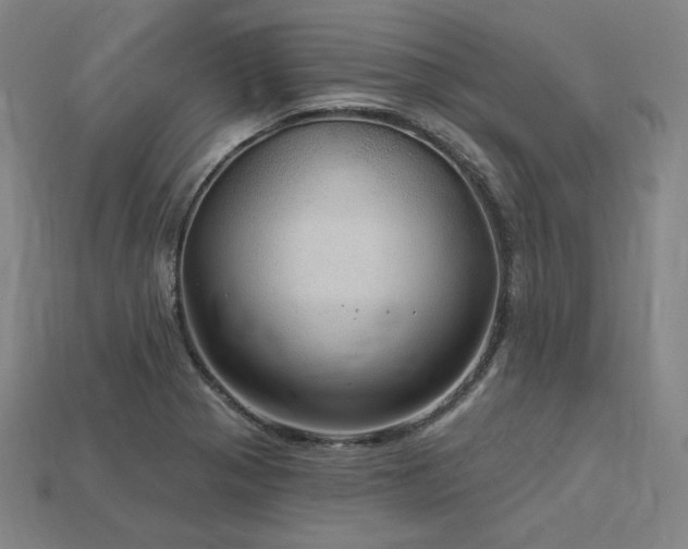 X0000113961321200909251352